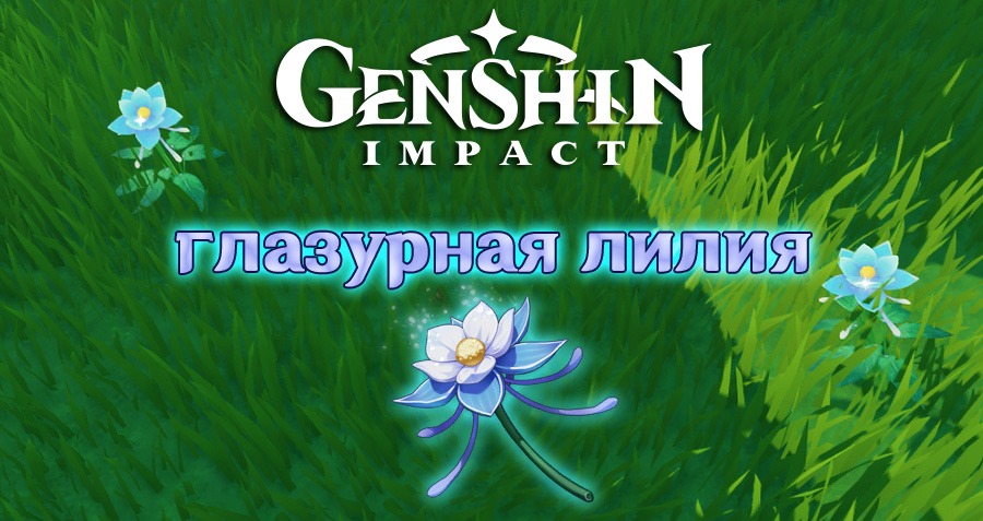Где Купить Глазурную Лилию Genshin Impact