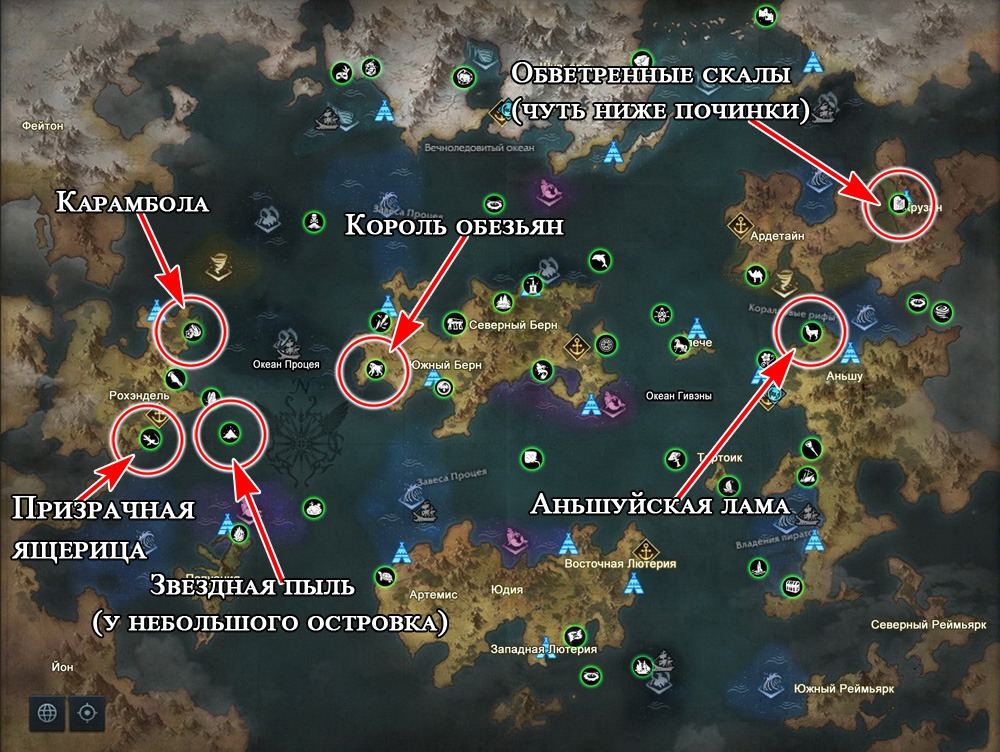 Лост Арк 2.0: Коллекция «Морские приключения». Расположение всех«приключений» на карте Акрасии