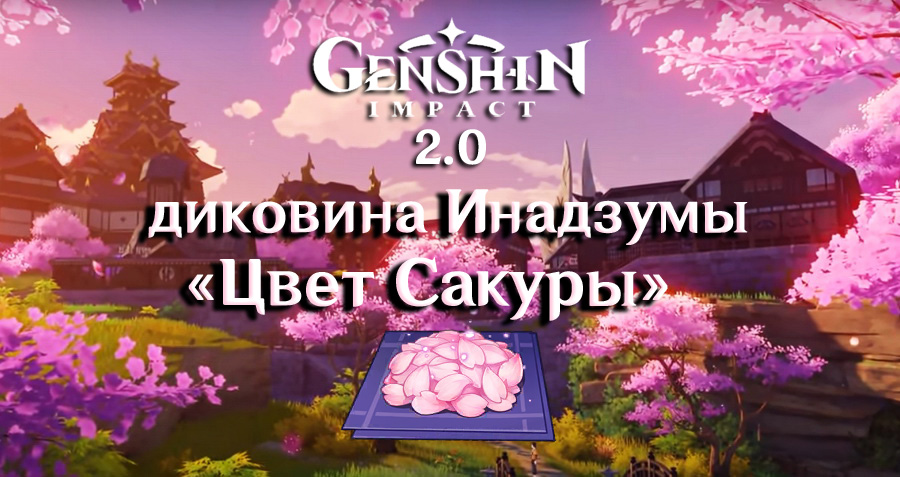 Сакура геншин импакт. Цветы Сакуры Геншин Импакт. Фарм лепестков Сакуры Геншин. Сакура Инадзума Геншин. Цвет Сакуры Genshin.