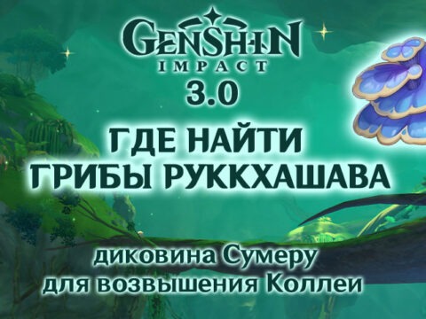 Где найти грибы руккхашава в Сумеру в Genshin Impact 3.0, карта и подробности сбора обложка