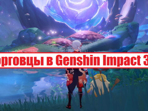 Торговцы Сумеру в Genshin Impact 3.0 обложка