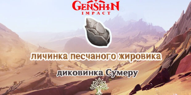 Личинка песчаного жировика в Genshin Impact 3.4, карта и сбор обложка